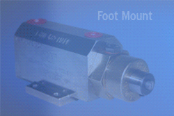 Mite-E-Mark model examples